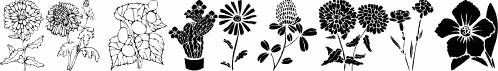 DT Flowers 1