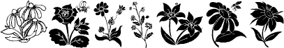 DT Flowers 2