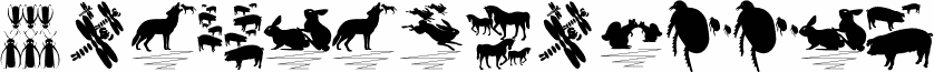 DueTresQuattro