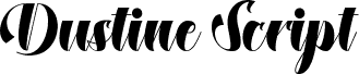 DustineScript