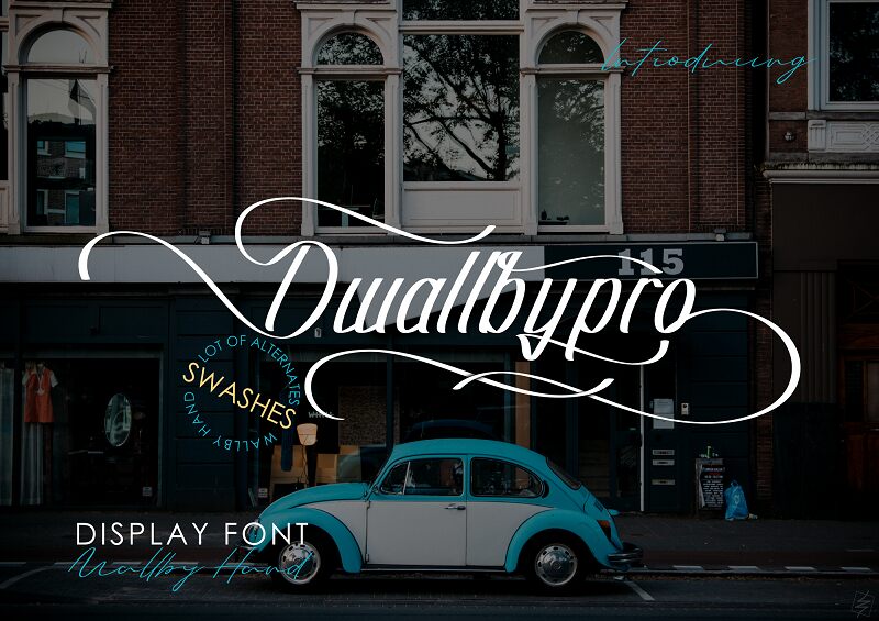 Dwallbypro フォント