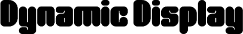 Dynamic Display One