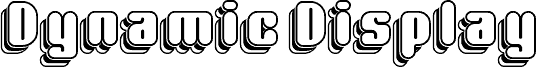 Dynamic Display Ten