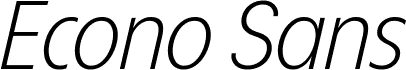 ÉconoSans Reduced 46 Light Italic