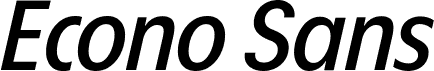 ÉconoSans Reduced 66 Medium Italic