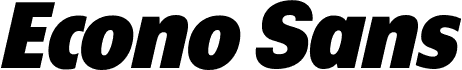 ÉconoSans Reduced 96 Black Italic