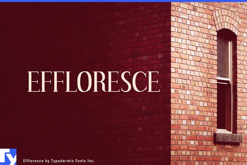 Effloresce Druh písma