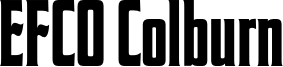 EFCO Colburn DEMO