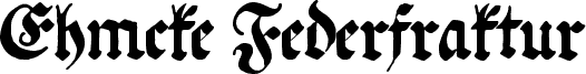 Ehmcke Federfraktur