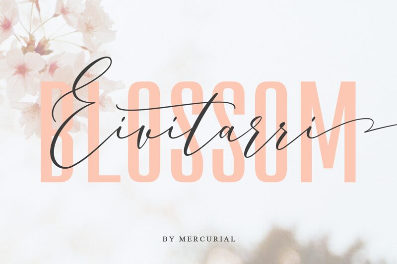 Eivitarri Blossom Schriftart