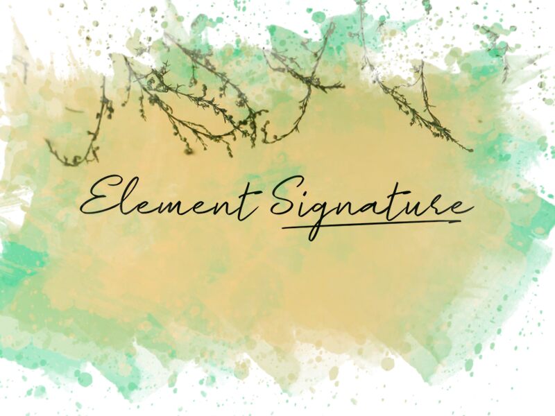 Element Signature_ font