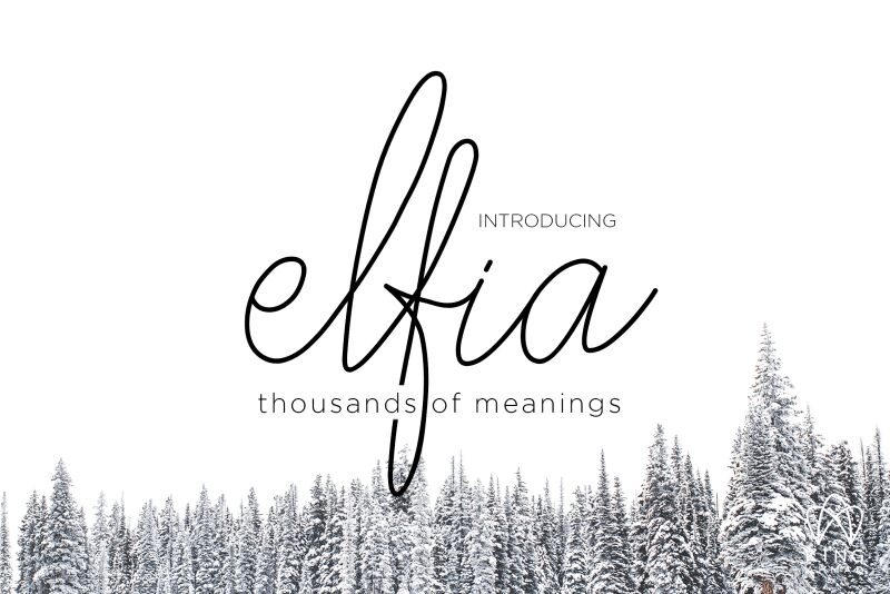elfia Fuente