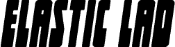 Elastic Lad Italic
