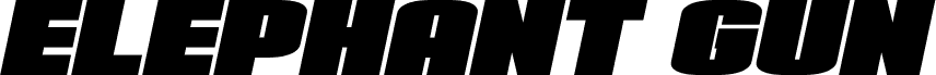 Elephant Gun Expanded Italic