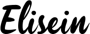 Elisein