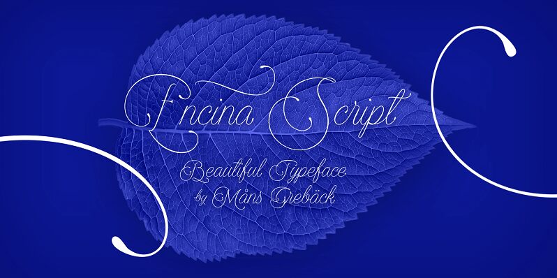 Encina Script 1 Czcionka