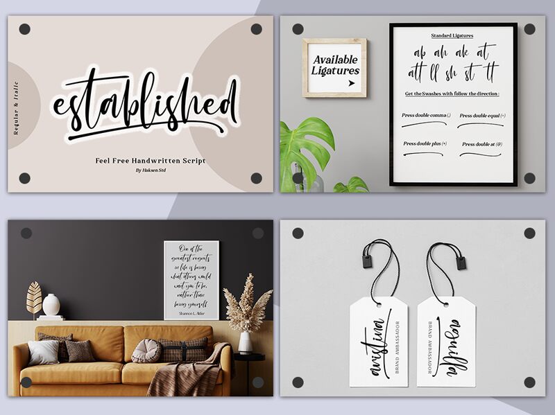 Established Carattere