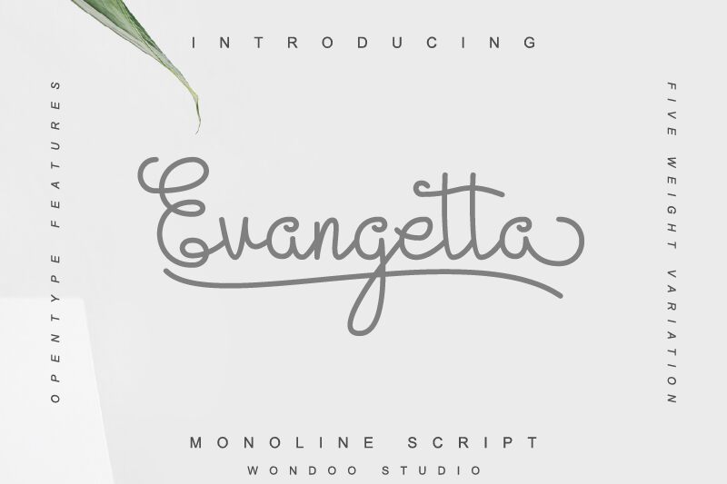 Evangetta الخط
