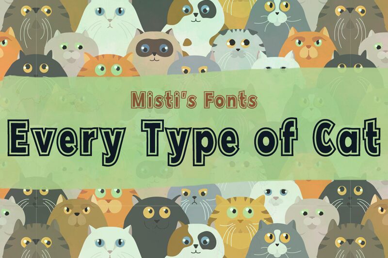 Every Type Of Cat Schriftart