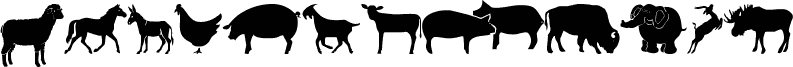 Farm & Wild Animals