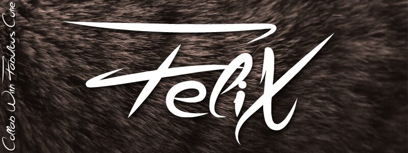 FeliX Carattere
