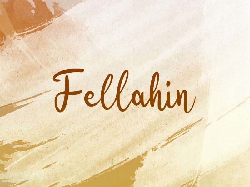 Fellahin Fuente