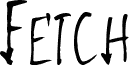 Fetch