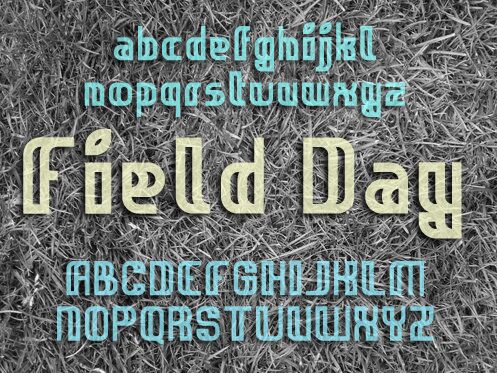 Field Day Fuente