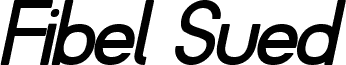 Fibel Sued  Bold Italic