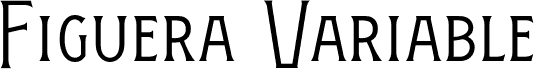 FigueraVariable-LightCondensed