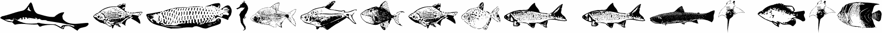 FishyPrint Two AOE