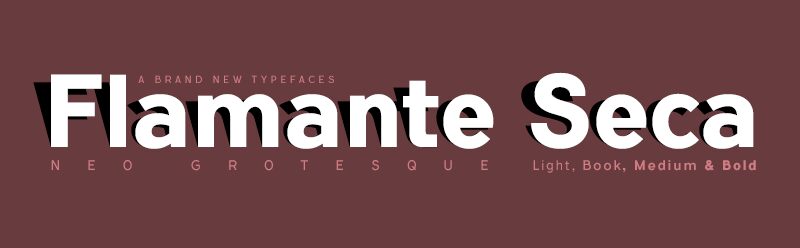 Flamante Seca Schriftart