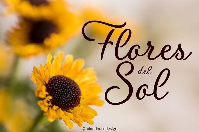 Flores del Sol Carattere