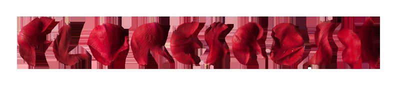 floresrosx Czcionka