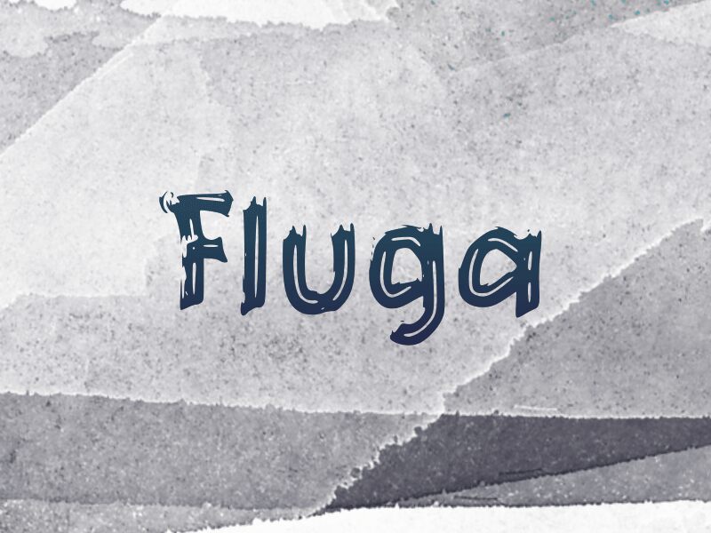 f Fluga Police