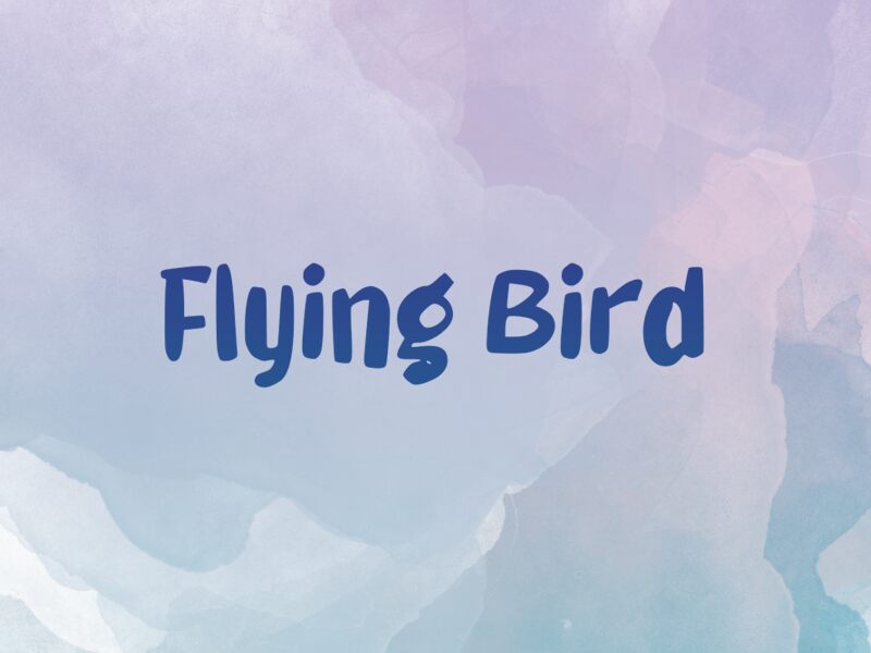 Flying Bird Schriftart