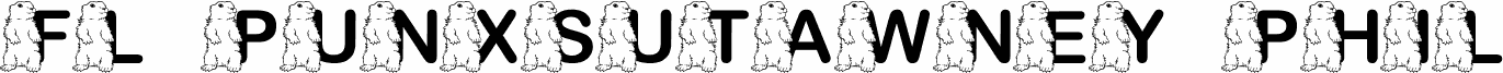 FL Punxsutawney Phil