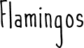 Flamingos