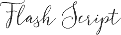FlashScriptDEMO