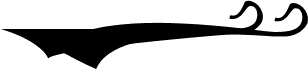 Flatland Swash