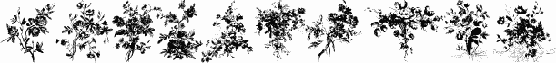Florals1