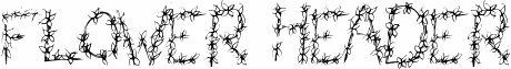 FlowerHeader