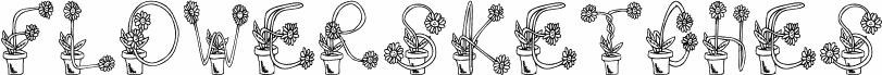 FlowerSketches