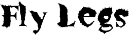 FlyLegs