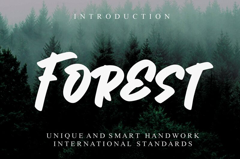 Forest font | Fonts2u.com