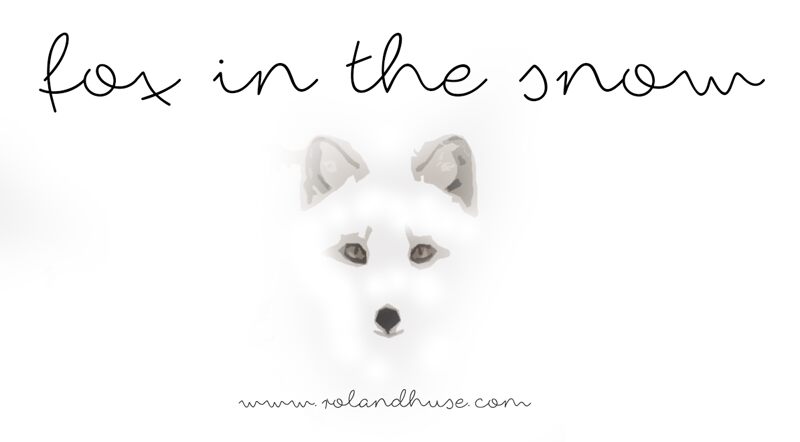 fox in the snow Schriftart