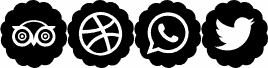 Font icons color