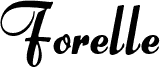 Forelle