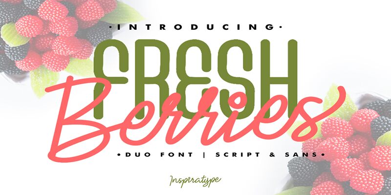 FRESH BERRIES SANS Schriftart