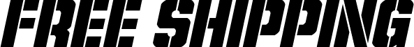 Podgląd czcionki Free Shipping Italic